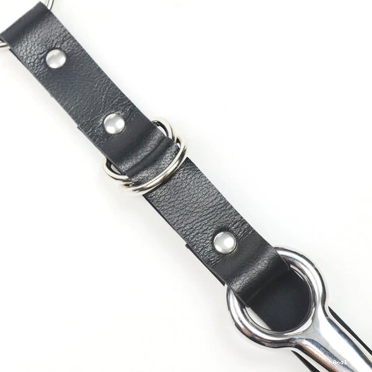 and 5853 Leash Collar Anal Hook EverydayUse Kinky with 0725